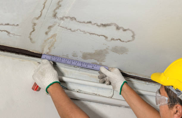 Reliable Burst Pipe Cleanup contractor in Henry, TN by Water Damage Irwin